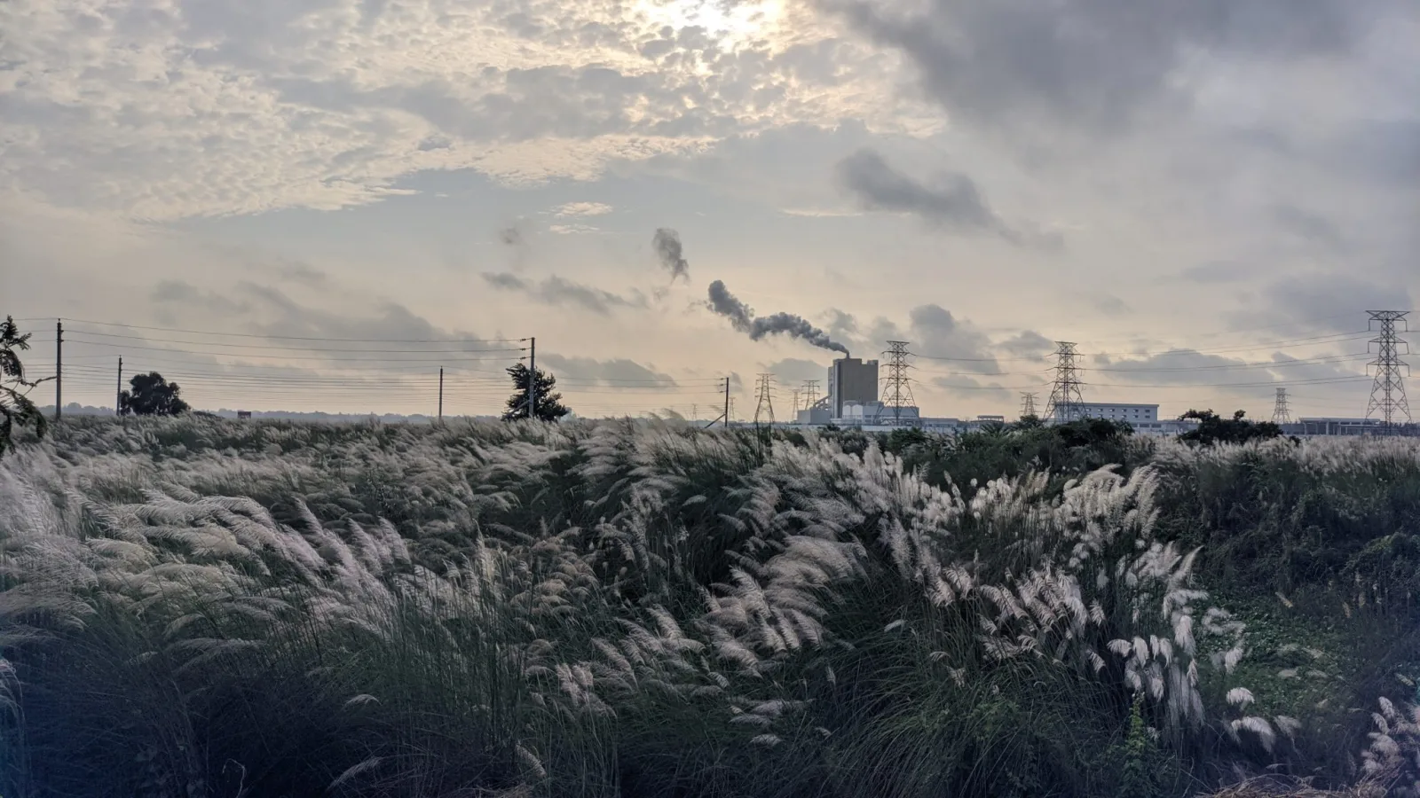 Ambrosia Energy Launches 10 GWh Battery Factory Near Austin