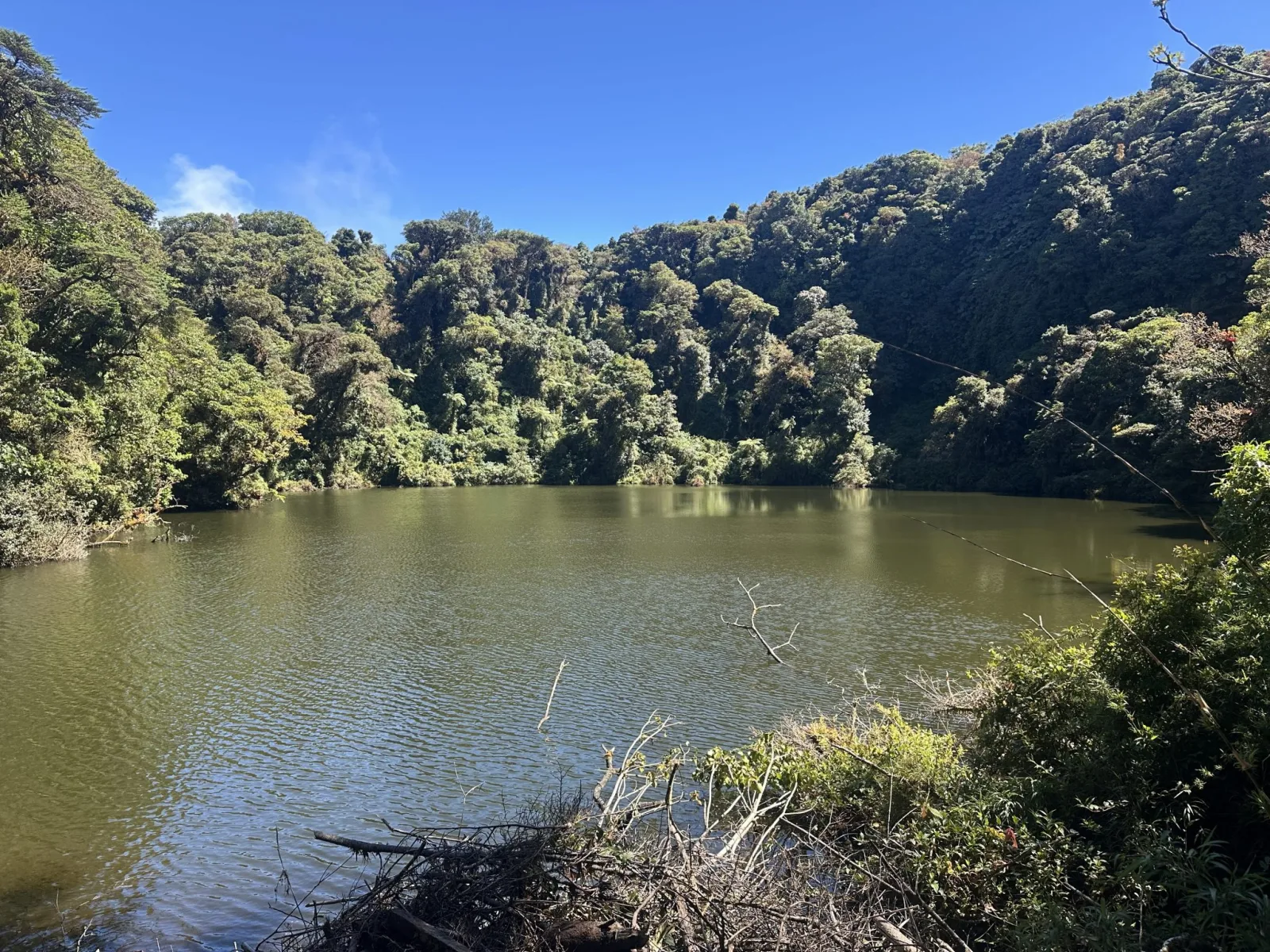 Apply Now: Funded Data Science Fellowship at Climate Risk Lab 2027