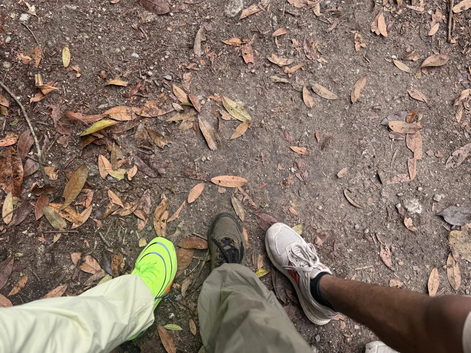 Grab These Brooks Sneakers at 45% Off for Ultimate Comfort