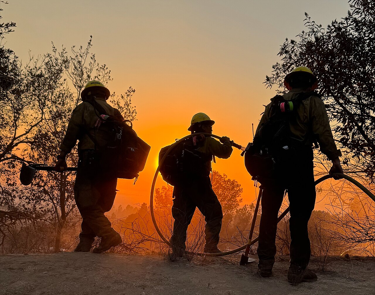 Algeria Declares Three Days of Mourning After Wildfires Kill 12